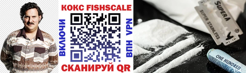 COCAIN Fish Scale  Купить закладки  Нея 