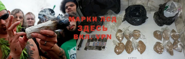 гашик Арсеньев