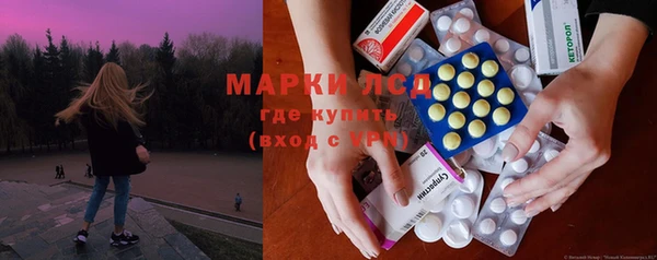 гашик Арсеньев