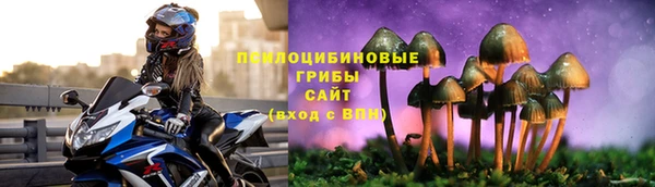 2c-b Аркадак