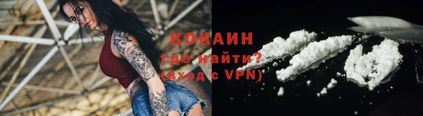 гашик Арсеньев