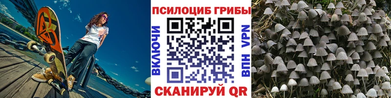 Купить где  Нея  Псилоцибиновые грибы мицелий 
